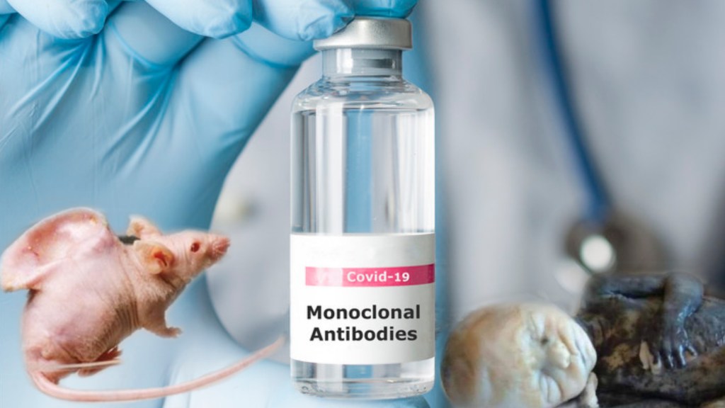 La verità sugli anticorpi&nbsp;monoclonali