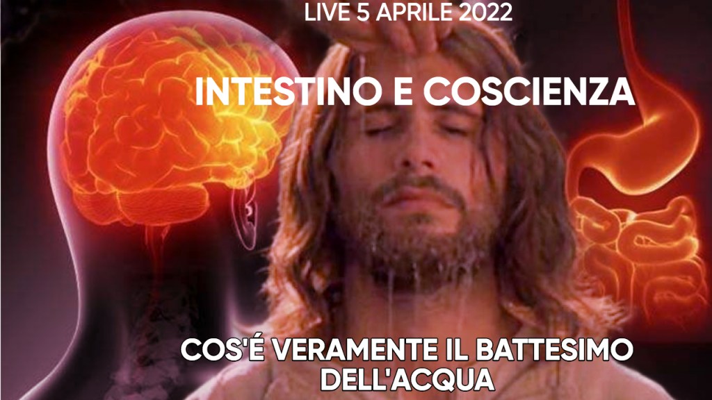Intestino e Coscienza. Il battesimo dell’acqua di Gesù e la pratica del clistere – Zoom  5 aprile 2022 con Barbara della Vite, Isabella Massamba e la&nbsp;community